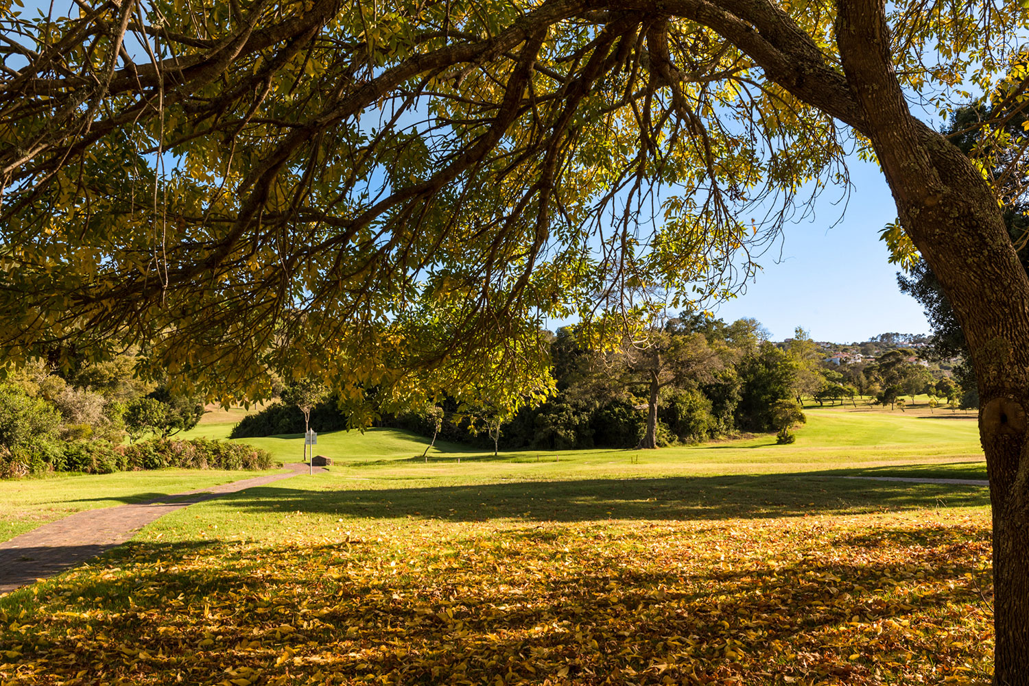Plettenberg Bay Country Club course